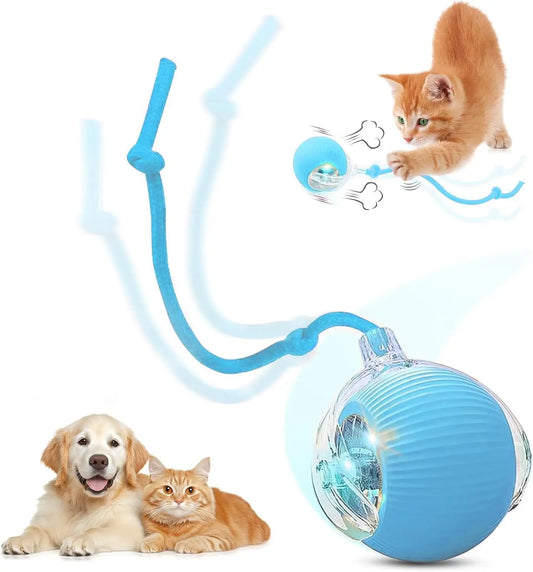 Speedy Ball with Tail Cat Toy, Smart Interactive Toys for Bored Indoor Cats, Automatic Rolling Ball 2.0 Enrichment, Turbo Electric Self Moving Flying 3.0, Electronic Rollie Pet Chase Games