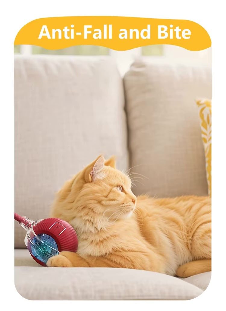 Speedy Ball with Tail Cat Toy, Smart Interactive Toys for Bored Indoor Cats, Automatic Rolling Ball 2.0 Enrichment, Turbo Electric Self Moving Flying 3.0, Electronic Rollie Pet Chase Games