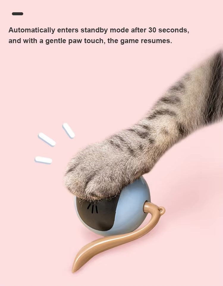 Glow & Go –The Smart Interactive Cat Ball Interactive Cat Ball Toys Fun Tracker USB Automatic Moving Rolling Chase Ball with Tail Smart Cat Playing Toy