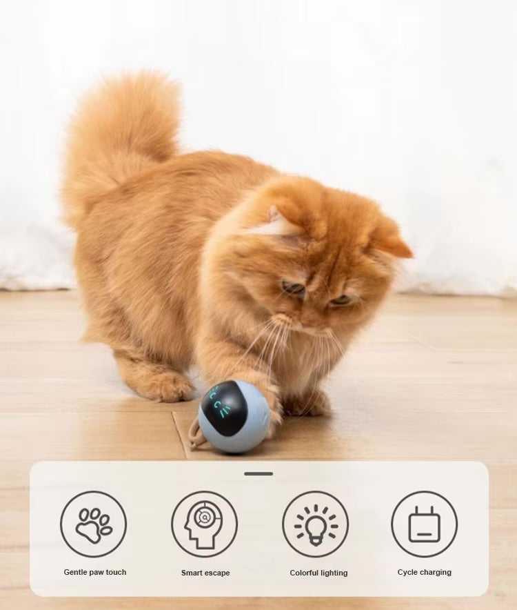 Glow & Go –The Smart Interactive Cat Ball Interactive Cat Ball Toys Fun Tracker USB Automatic Moving Rolling Chase Ball with Tail Smart Cat Playing Toy