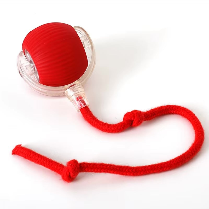 Speedy Ball with Tail Cat Toy, Smart Interactive Toys for Bored Indoor Cats, Automatic Rolling Ball 2.0 Enrichment, Turbo Electric Self Moving Flying 3.0, Electronic Rollie Pet Chase Games