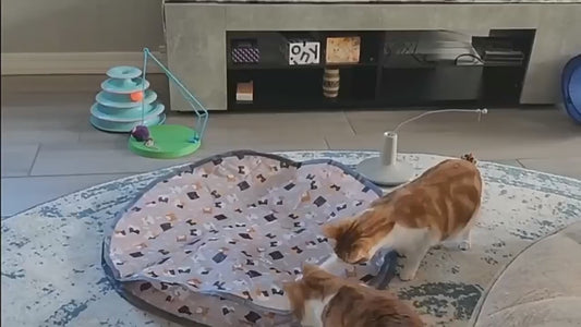 New Arrival Motion Activated Chirping Cat Toy Ball Hunting Cover Play Mat Christmas Interactive Toys for Cats to Play